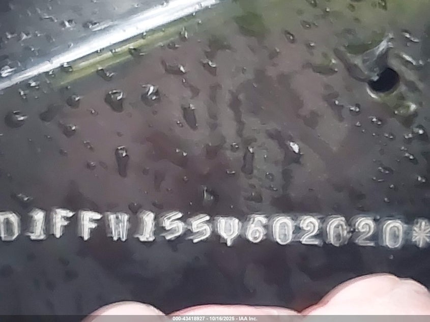 2005 Harley-Davidson Flhtci VIN: 1HD1FFW155Y602020 Lot: 43418927