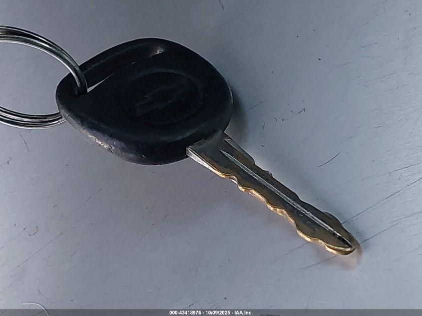 2002 Chevrolet Silverado 1500 Ls VIN: 2GCEC19T721171996 Lot: 43418976