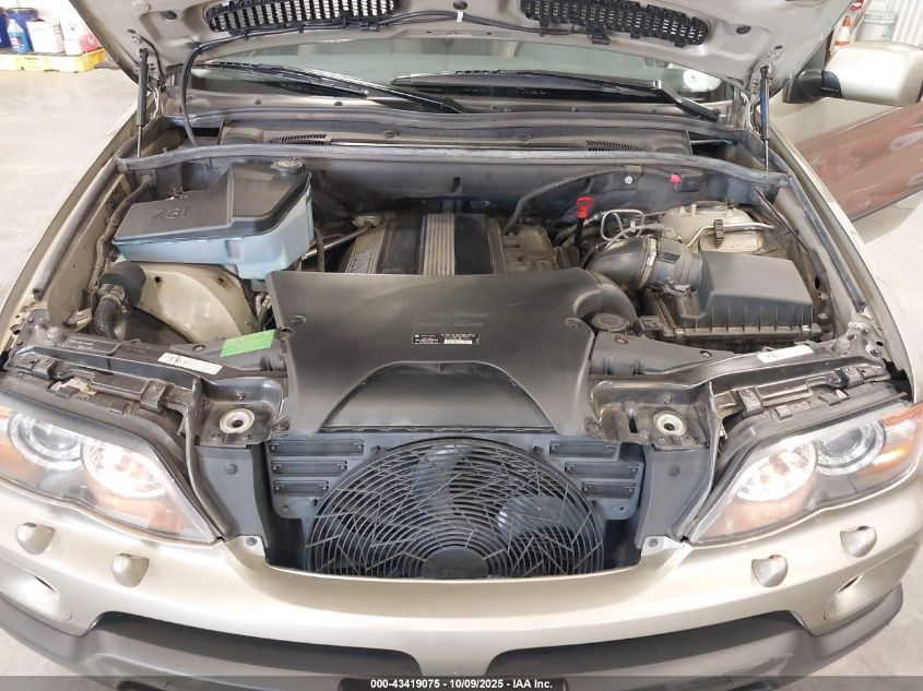 2005 BMW X5 3.0I VIN: 5UXFA13575LY19404 Lot: 43419075