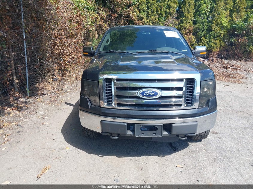 2010 Ford F-150 Xlt VIN: 1FTEW1E86AFA73414 Lot: 43419119