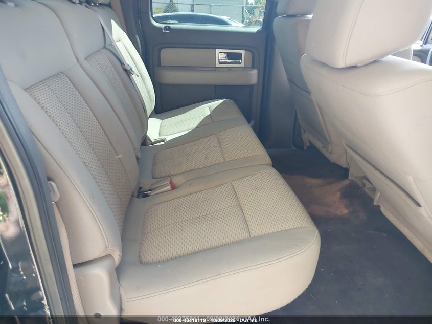 2010 Ford F-150 Xlt VIN: 1FTEW1E86AFA73414 Lot: 43419119