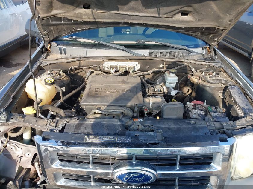 2011 Ford Escape Xlt VIN: 1FMCU0DG3BKA07679 Lot: 43419407