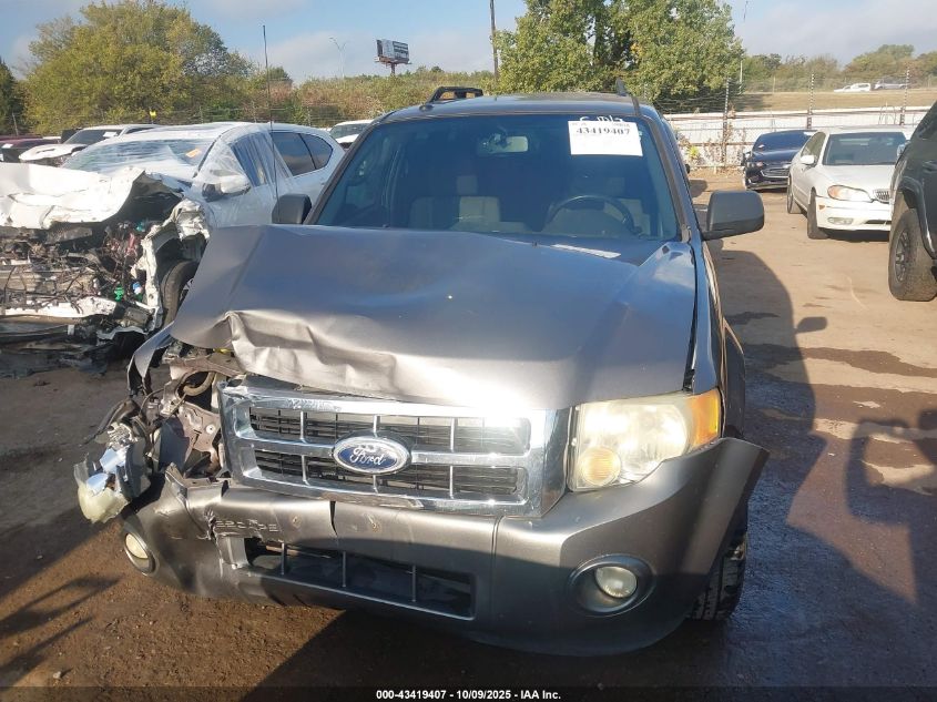 2011 Ford Escape Xlt VIN: 1FMCU0DG3BKA07679 Lot: 43419407