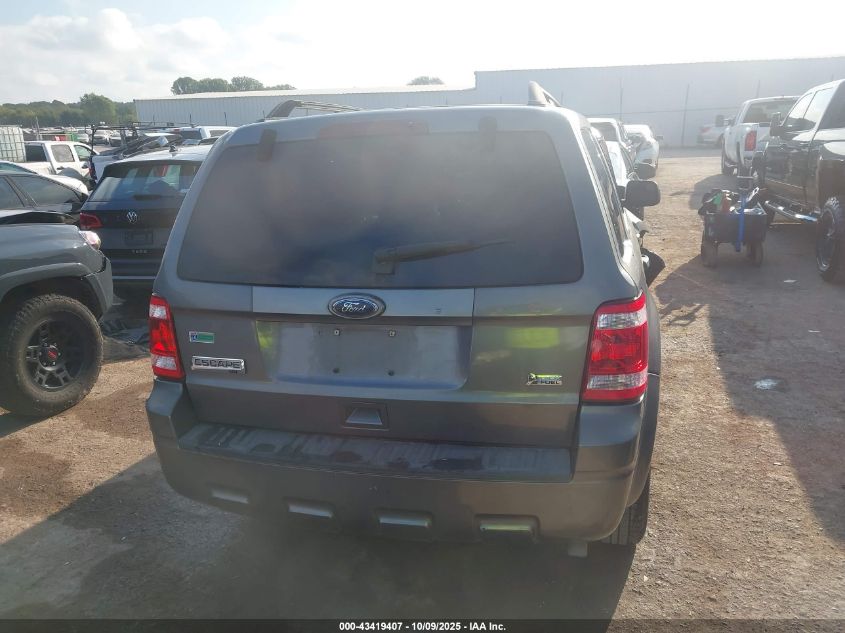 2011 Ford Escape Xlt VIN: 1FMCU0DG3BKA07679 Lot: 43419407