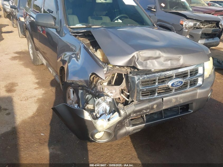 2011 Ford Escape Xlt VIN: 1FMCU0DG3BKA07679 Lot: 43419407