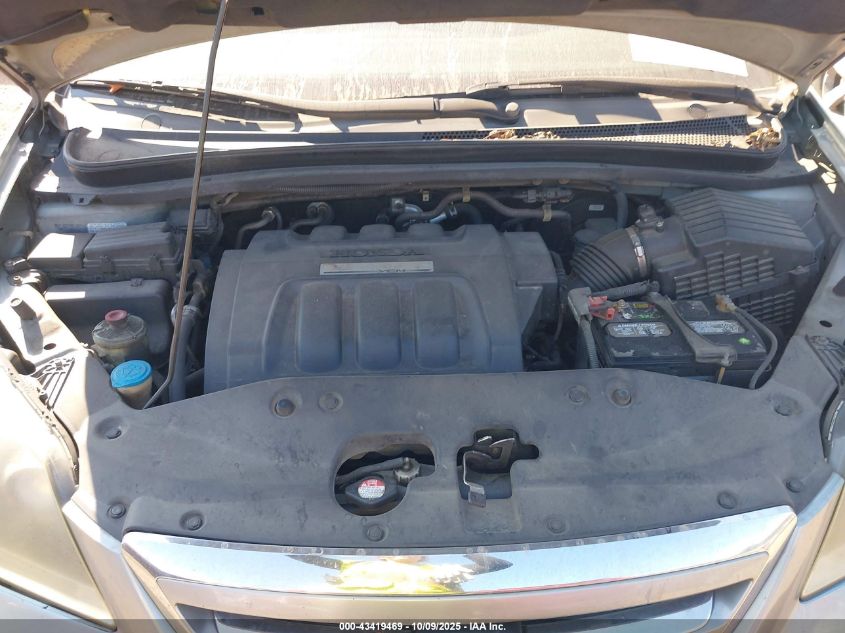 2007 Honda Odyssey Ex-L VIN: 5FNRL38737B105855 Lot: 43419469