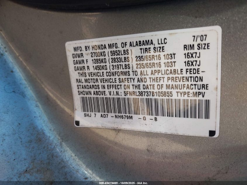 2007 Honda Odyssey Ex-L VIN: 5FNRL38737B105855 Lot: 43419469