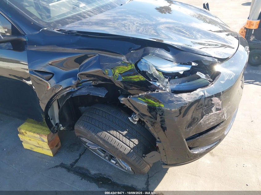 2025 Tesla Model Y Long Range Dual Motor Rear-Wheel Drive VIN: 7SAYGDED7SF233964 Lot: 43419471