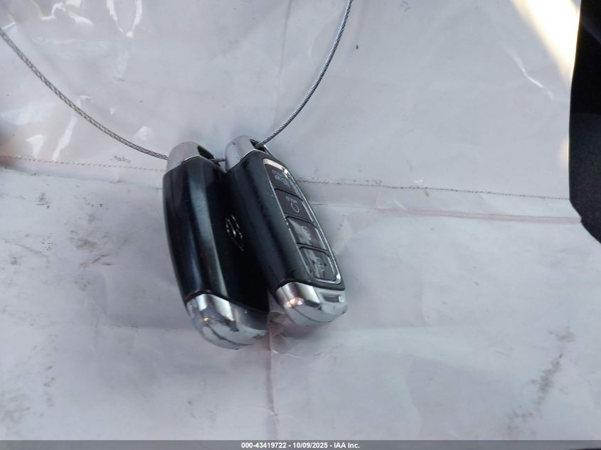 2020 Hyundai Palisade Sel VIN: KM8R24HE4LU143423 Lot: 43419722