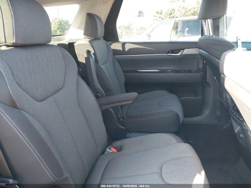 2020 Hyundai Palisade Sel VIN: KM8R24HE4LU143423 Lot: 43419722