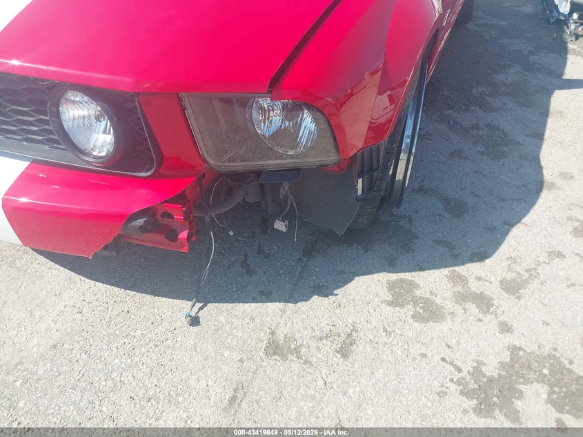 2006 Ford Mustang Gt VIN: 1ZVFT82H665185442 Lot: 43419849