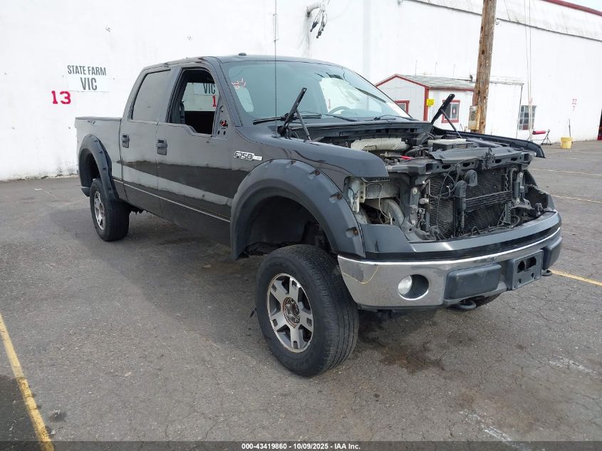 FORD F-150 XLT