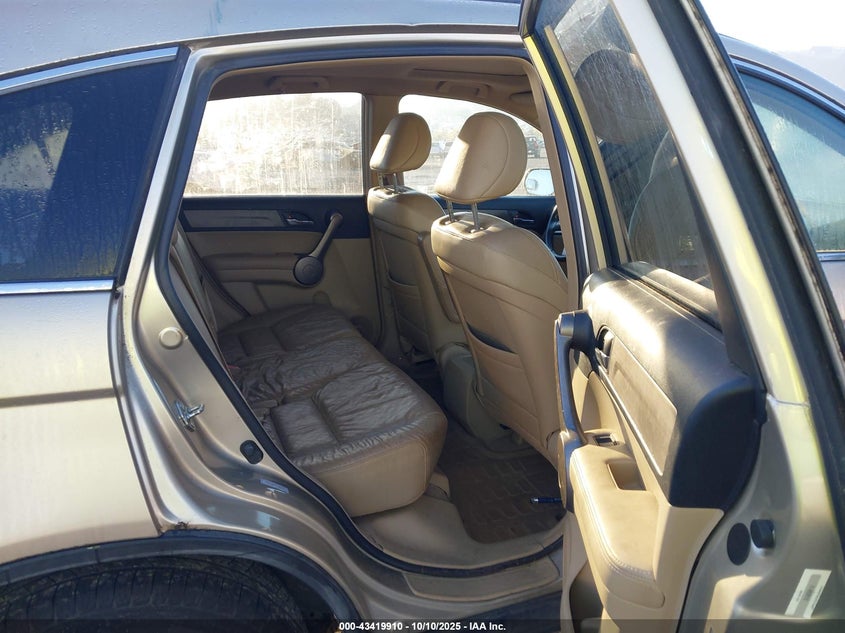 2009 Honda Cr-V Ex-L VIN: 5J6RE38759L026224 Lot: 43419910