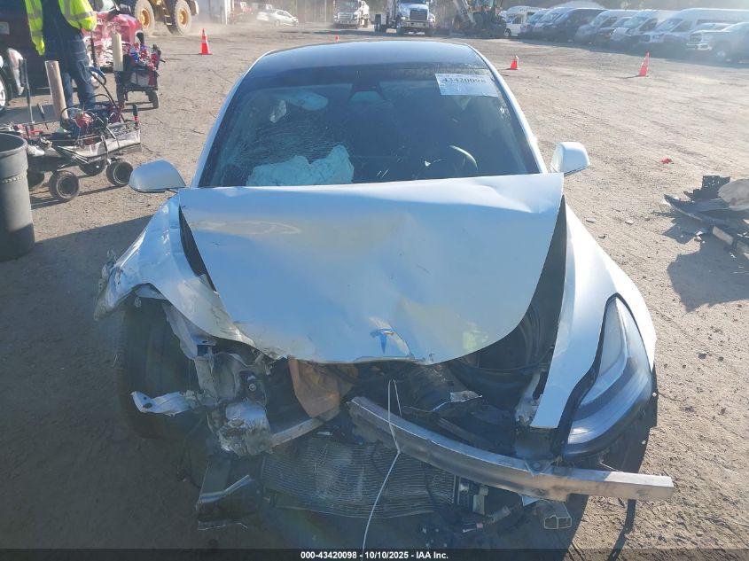 2020 Tesla Model 3 Standard Range Plus Rear-Wheel Drive/Standard Range Rear-Wheel Drive VIN: 5YJ3E1EA3LF504179 Lot: 43420098