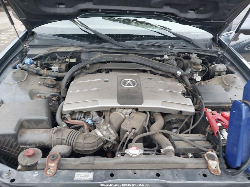 2004 Acura Rl 3.5 VIN: JH4KA96614C003997 Lot: 43420465