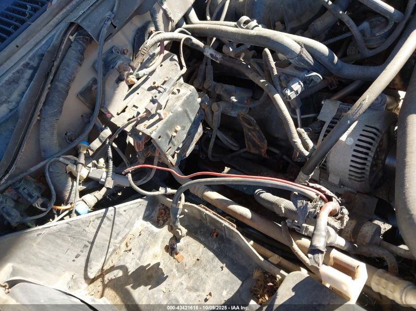 2003 Ford F-150 Xl/Xlt VIN: 1FTRF18293NB61407 Lot: 43421618