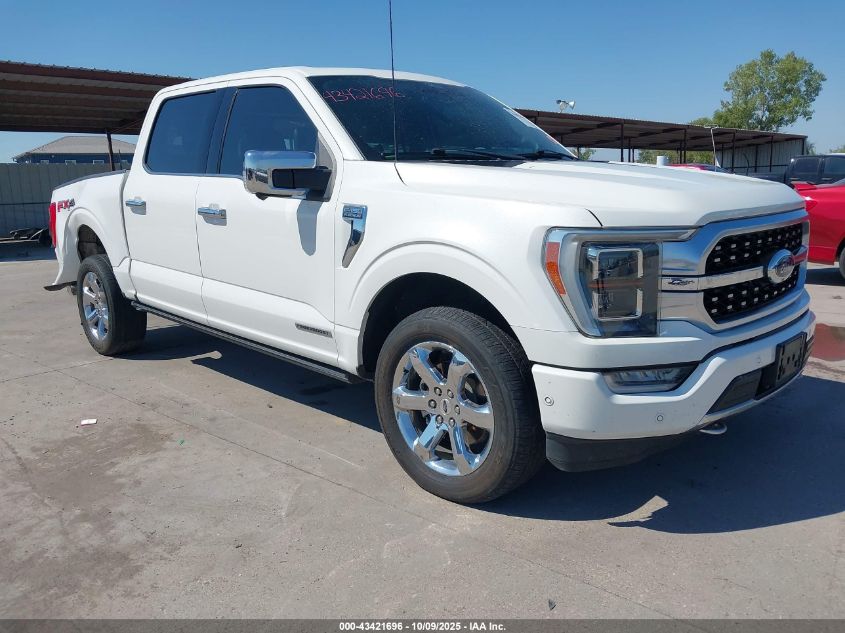 FORD F-150 PLATINUM