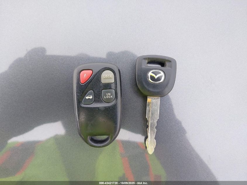 2009 Mazda Mazda3 I VIN: JM1BK32G391217645 Lot: 43421728