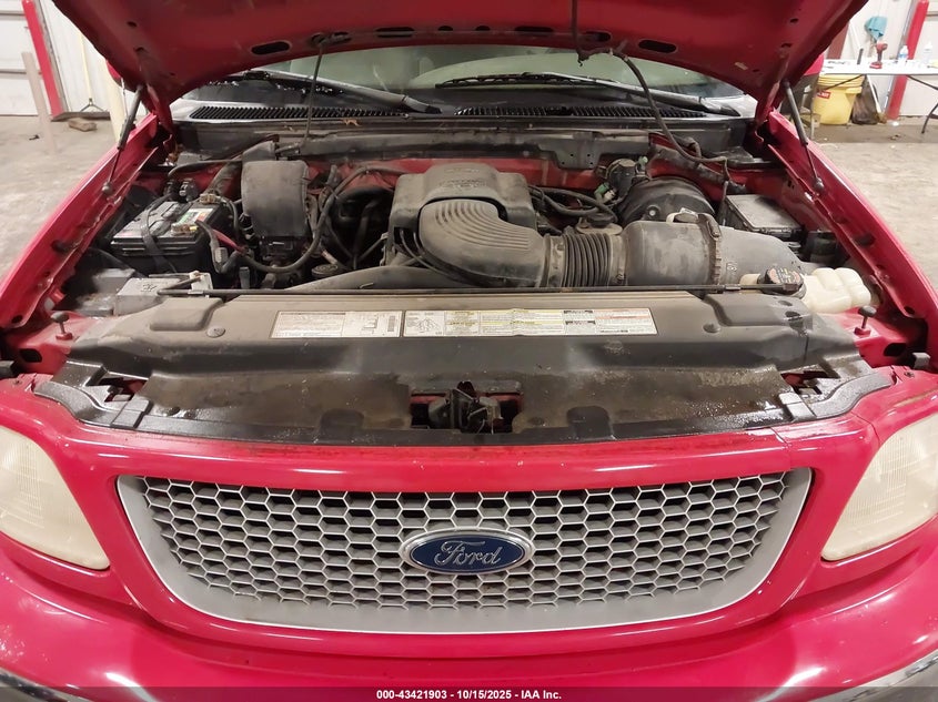 1999 Ford F-150 Lariat/Work Series/Xl/Xlt VIN: 1FTRX18W8XKA25051 Lot: 43421903