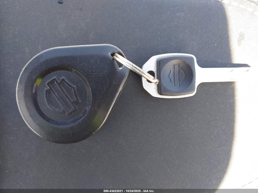 2019 Harley-Davidson Fxfbs VIN: 1HD1YLK25KB055336 Lot: 43422021