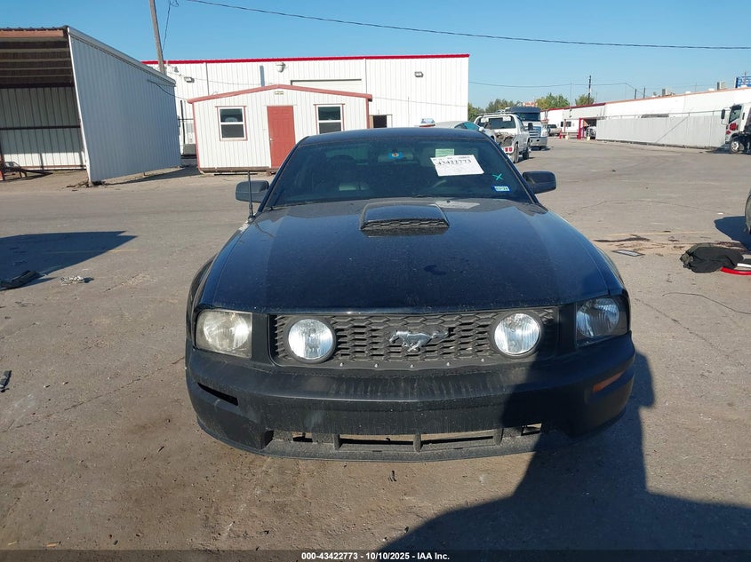 2007 Ford Mustang Gt Deluxe/Gt Premium VIN: 1ZVFT82H075285683 Lot: 43422773
