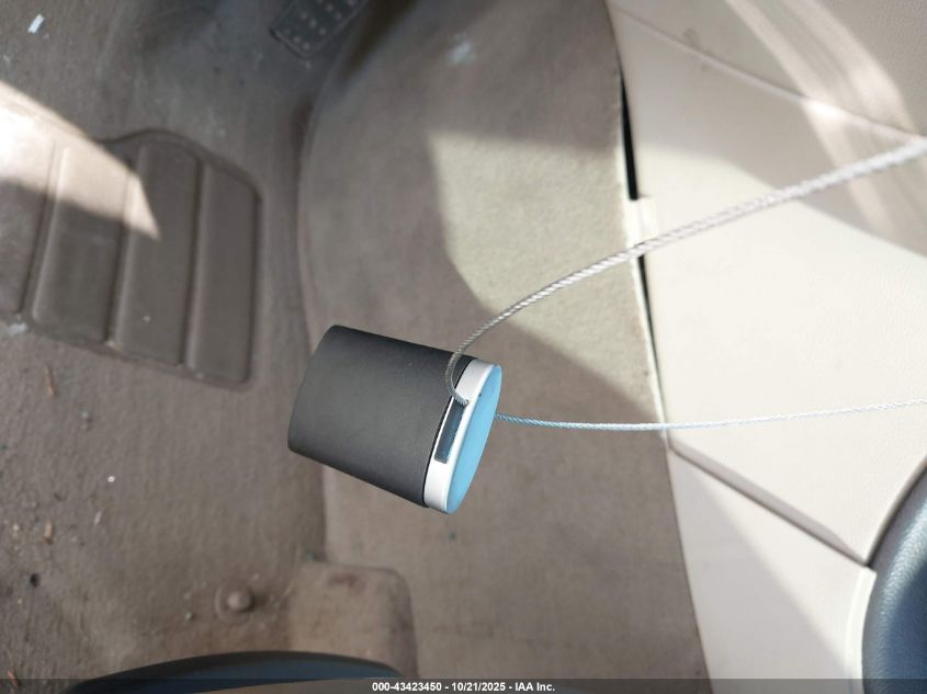 2010 Cadillac Srx Luxury Collection VIN: 3GYFNAEY4AS565081 Lot: 43423450