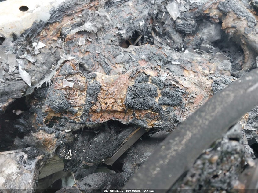 2021 Land Rover Range Rover Evoque S VIN: SALZJ2FXXMH144806 Lot: 43423885