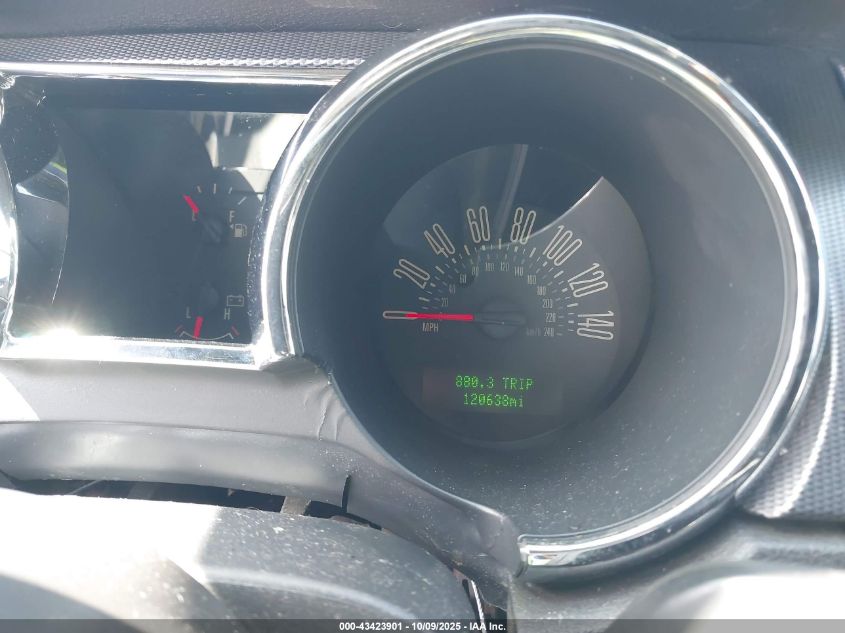 2005 Ford Mustang Gt VIN: 1ZVHT85H755256019 Lot: 43423901