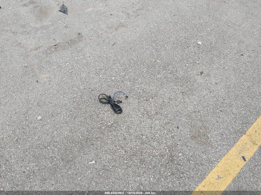 2020 Chrysler Pacifica Limited VIN: 2C4RC1GG0LR237962 Lot: 43423937