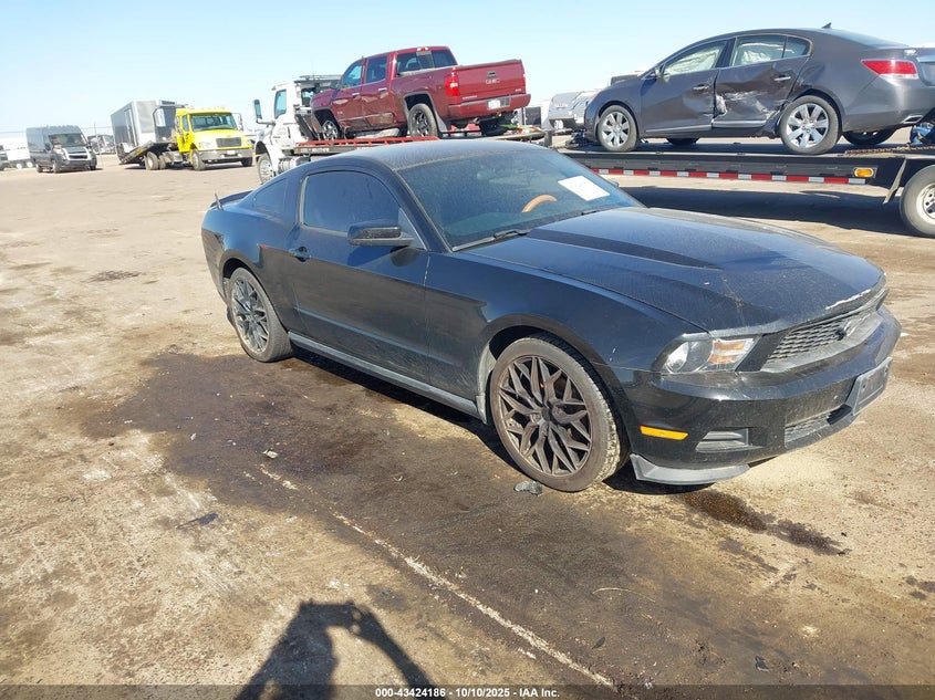 FORD MUSTANG V6