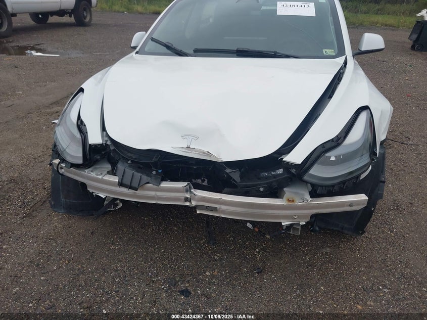 2023 Tesla Model 3 Rear-Wheel Drive VIN: 5YJ3E1EA9PF557880 Lot: 43424367