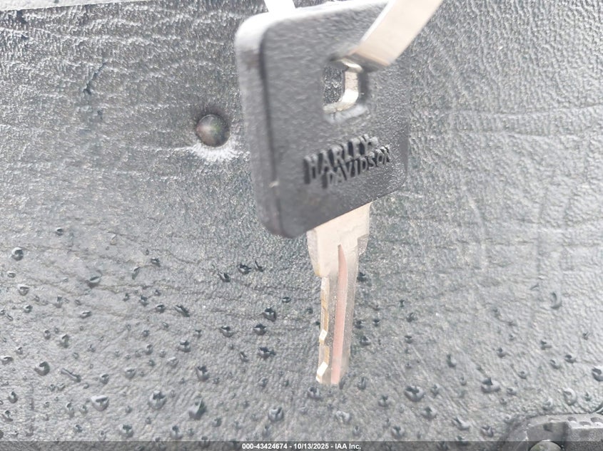 2017 Harley-Davidson Xl883 Iron 883 VIN: 1HD4LE217HC445937 Lot: 43424674