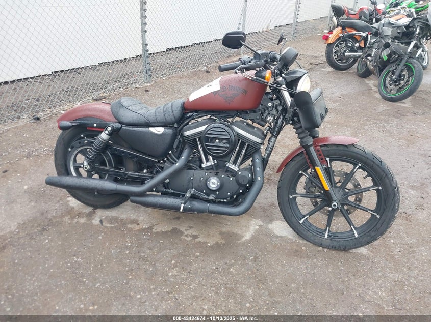 2017 Harley-Davidson Xl883 Iron 883 VIN: 1HD4LE217HC445937 Lot: 43424674