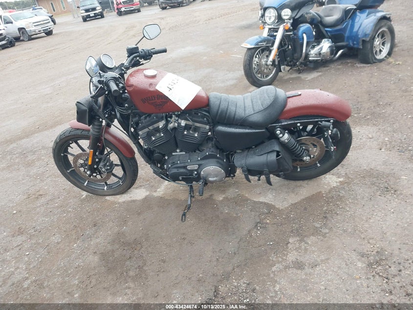 2017 Harley-Davidson Xl883 Iron 883 VIN: 1HD4LE217HC445937 Lot: 43424674