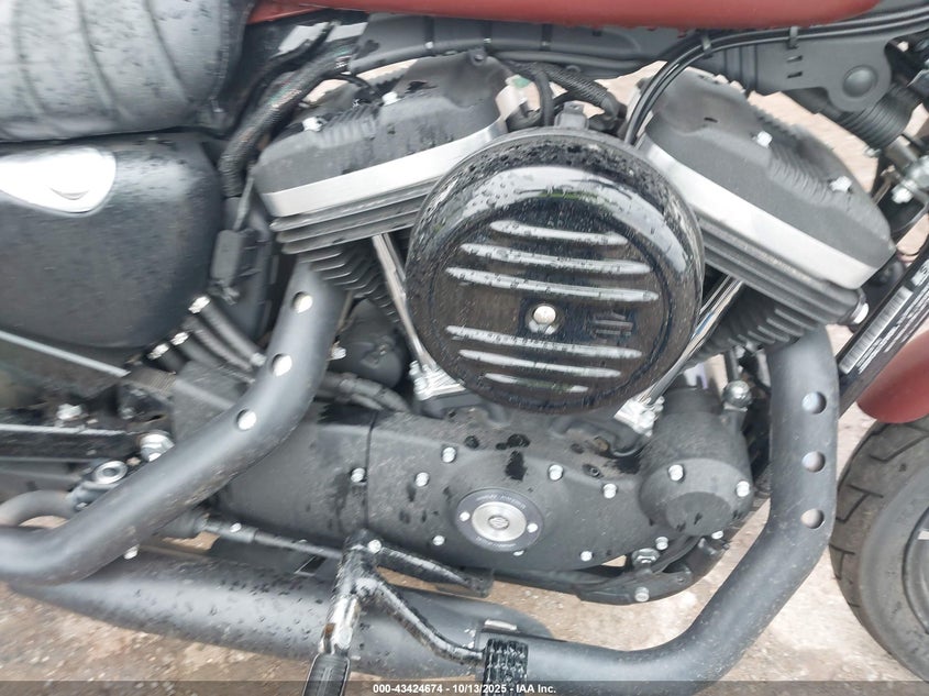 2017 Harley-Davidson Xl883 Iron 883 VIN: 1HD4LE217HC445937 Lot: 43424674