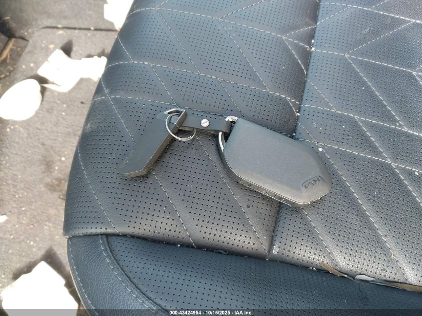 2024 Kia Telluride Ex X-Line VIN: 5XYP3DGCXRG431434 Lot: 43424954