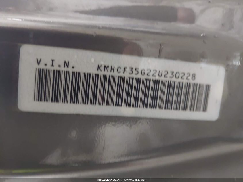 2002 Hyundai Accent L VIN: KMHCF35G22U230228 Lot: 43425125