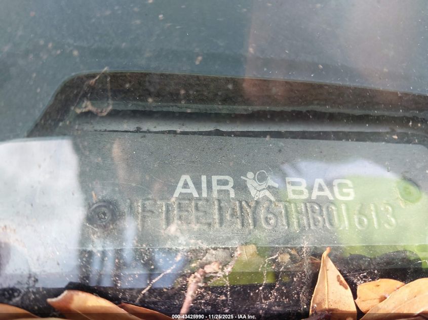 1996 Ford Econoline E150 Van VIN: 1FTEE14Y6THB01613 Lot: 43425990