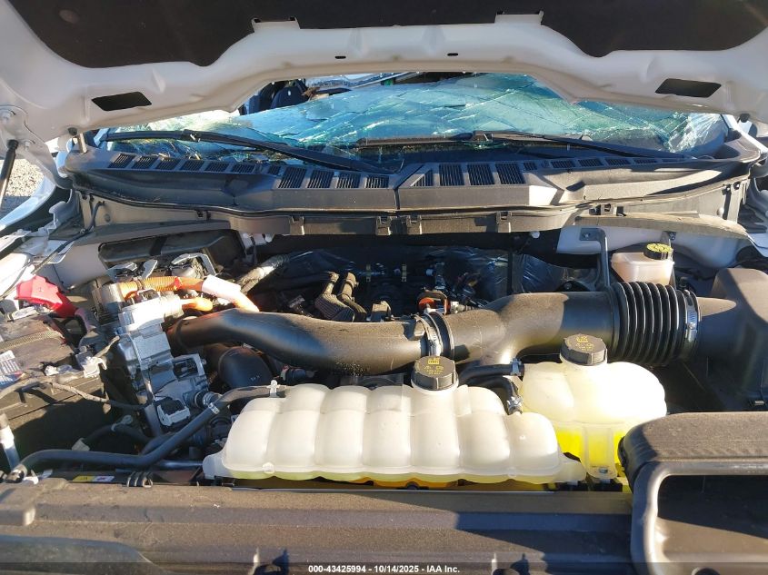 2024 Ford F-150 Xlt VIN: 1FTFW3LD6RFB95962 Lot: 43425994