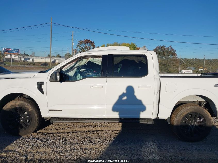 2024 Ford F-150 Xlt VIN: 1FTFW3LD6RFB95962 Lot: 43425994