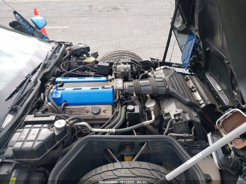 1992 Chevrolet Corvette VIN: 1G1YY23P1N5100904 Lot: 43426005