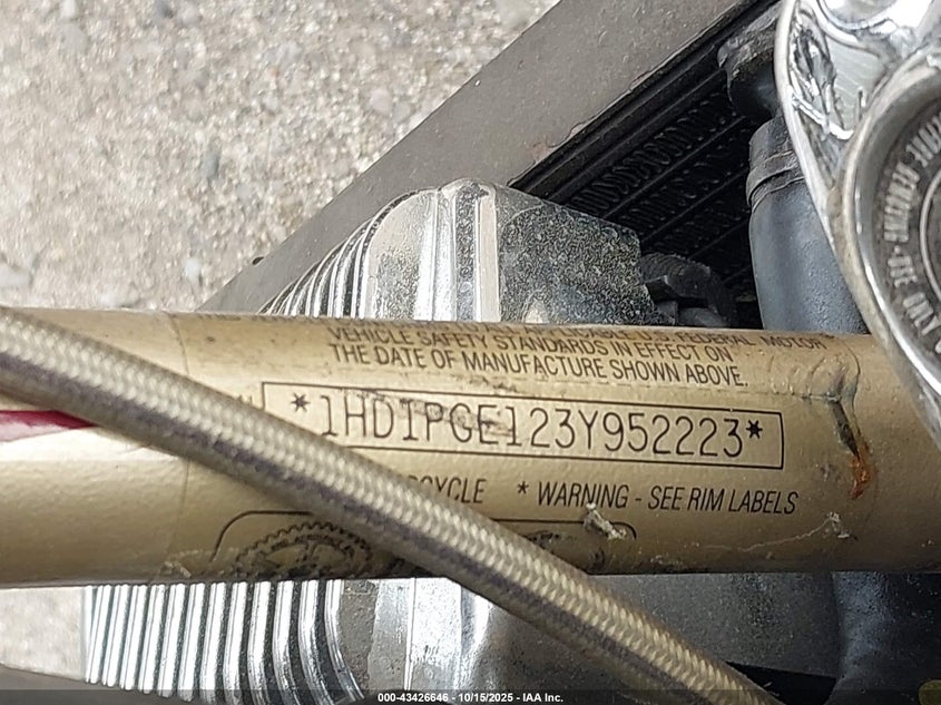 2003 HARLEY-DAVIDSON FLHRSEI1 1HD1PGE123Y952223