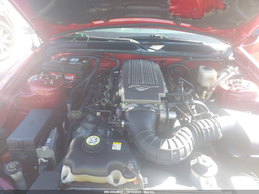 2008 Ford Mustang VIN: 1ZVHT82H685120215 Lot: 43426887