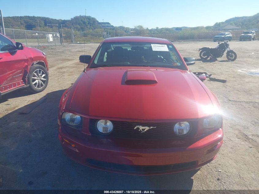 2008 Ford Mustang VIN: 1ZVHT82H685120215 Lot: 43426887