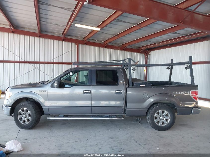 2013 Ford F-150 Xlt VIN: 1FTFW1ET4DKD54969 Lot: 43426904