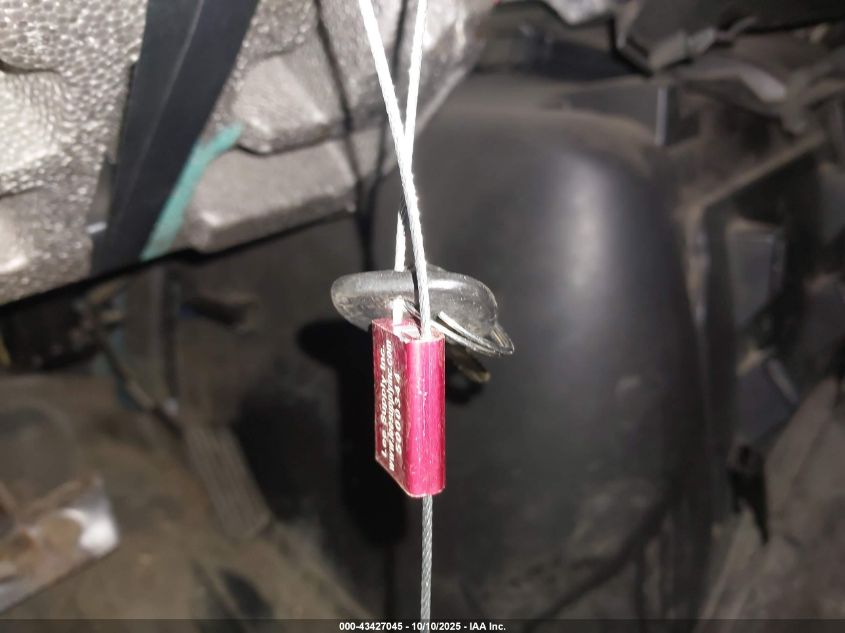 2004 Chevrolet Express VIN: 1GCEG15X441224921 Lot: 43427045