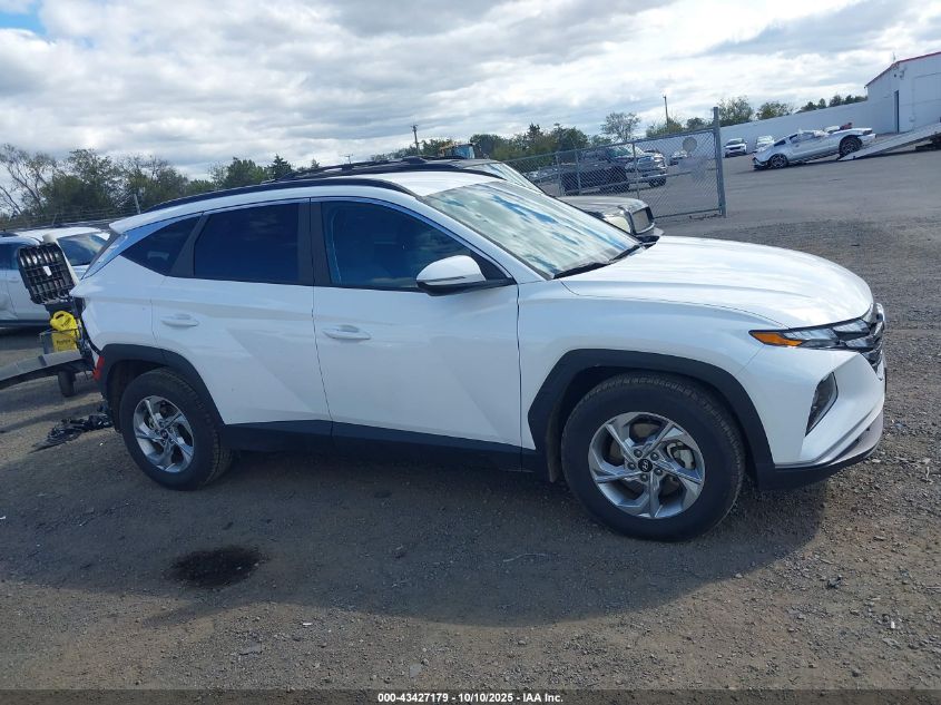 2023 Hyundai Tucson Sel VIN: 5NMJB3AE3PH289007 Lot: 43427179