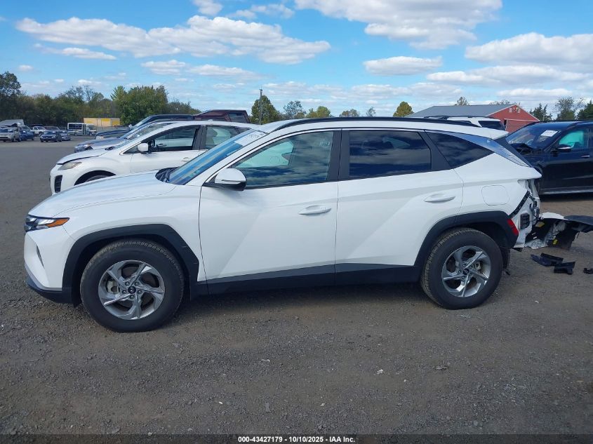 2023 Hyundai Tucson Sel VIN: 5NMJB3AE3PH289007 Lot: 43427179