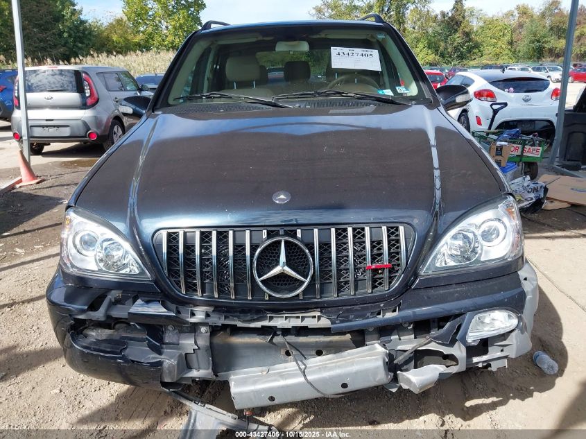 2002 Mercedes-Benz Ml 320 VIN: 4JGAB54E52A339847 Lot: 43427405