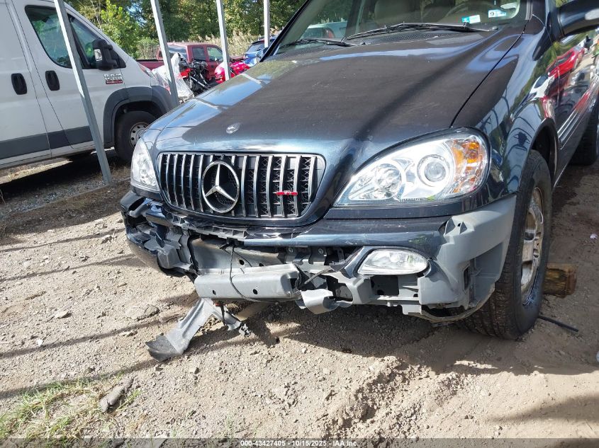 2002 Mercedes-Benz Ml 320 VIN: 4JGAB54E52A339847 Lot: 43427405